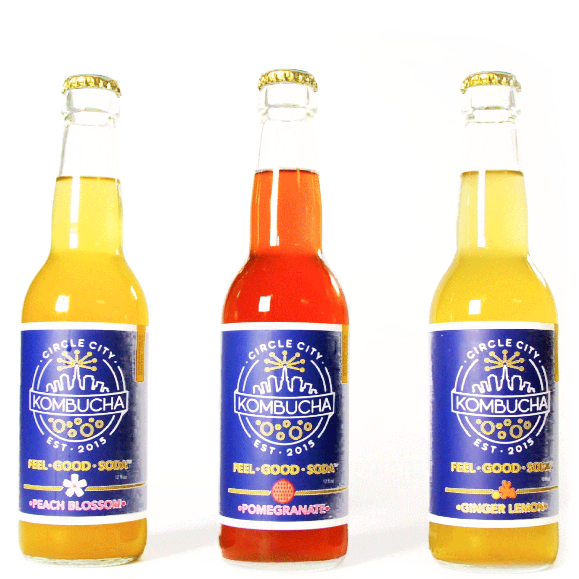 three different flavors of circle city kombucha